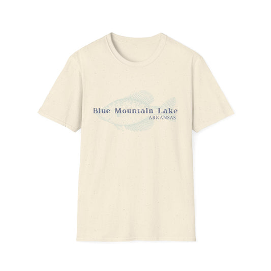 Vintage Blue Mountain Lake